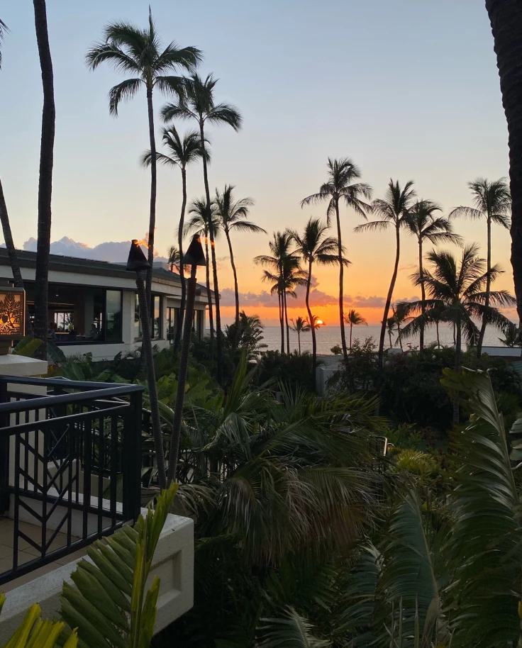Sunset behind palm trees from a resort.
