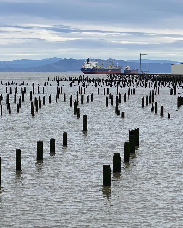 harbor with boats and mountain range in the distance