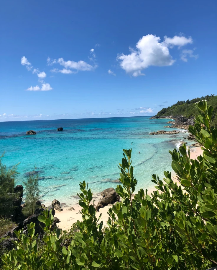 Green trees overlooking ocean and beach with blue skies