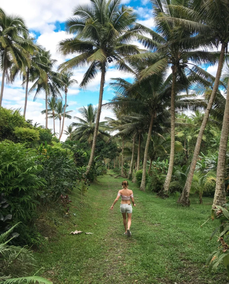 A tropical escape with someone walking amidst tall palm trees and lush greenery.
