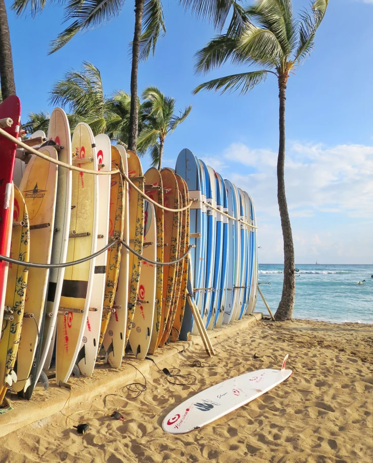 stack of surfboards on a beach with a palm tree