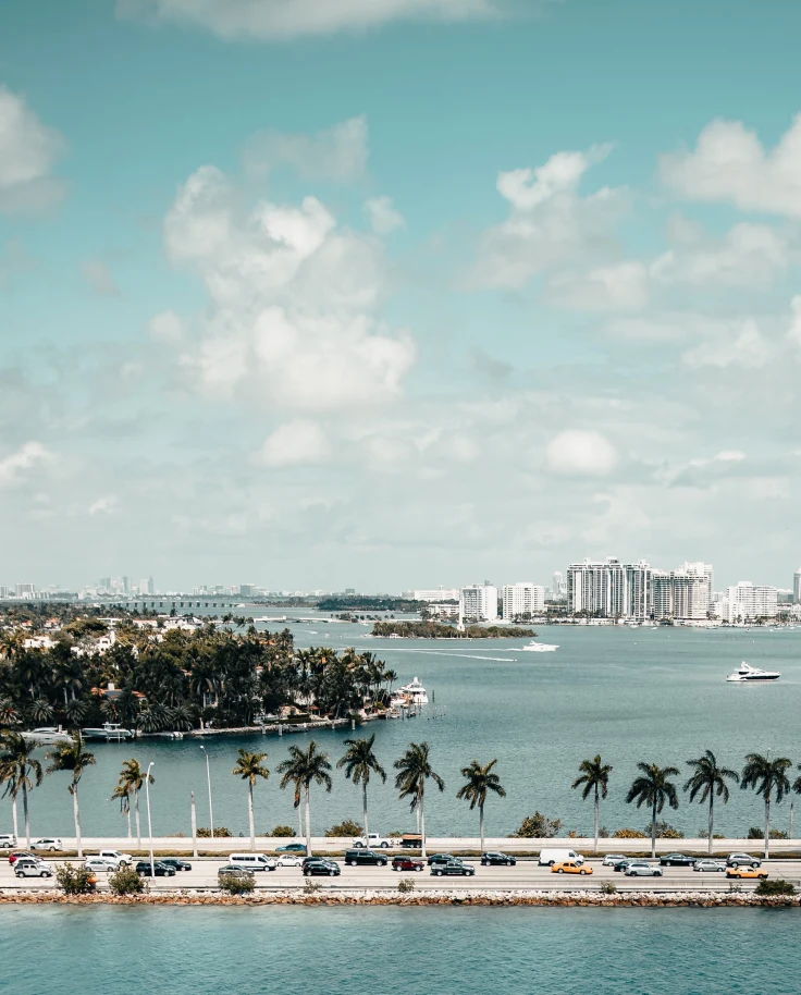 Skyline view of South Beach, Miami FL with Atlantic ocean in and palm trees in forefront.