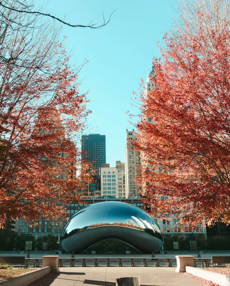 Large silver sculpture surrounded by trees with orange autumn leaves and skyscrapers in the background.