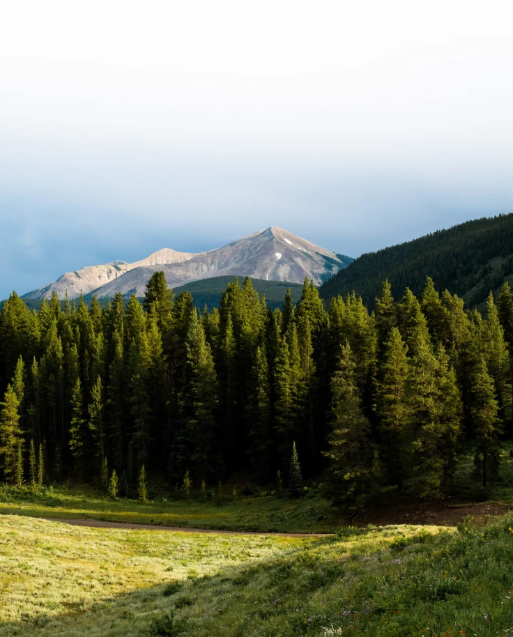 Mountains and green trees in Colorado.
