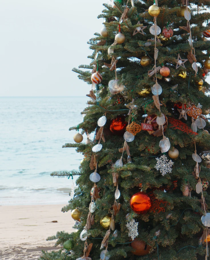 A chritsmas tree photos