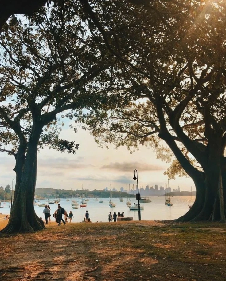 A serene riverside scene framed by two large trees, with people relaxing near the water and boats anchored in the distance.
