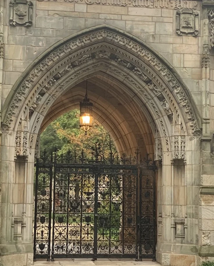 A black gate within an arched wall