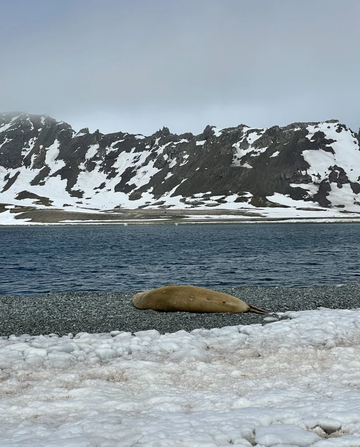 water and snowy mountains