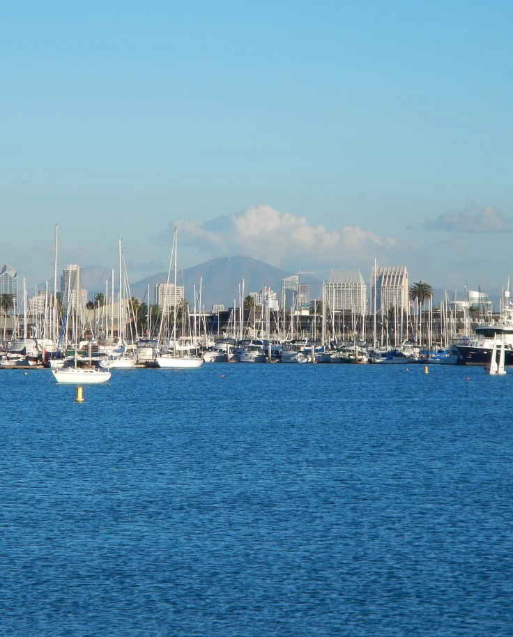 Water filled with boats in San Diego.