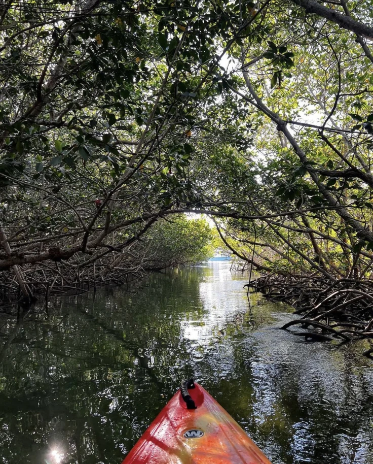A picture of the tip of a canoe in a lake during daytime