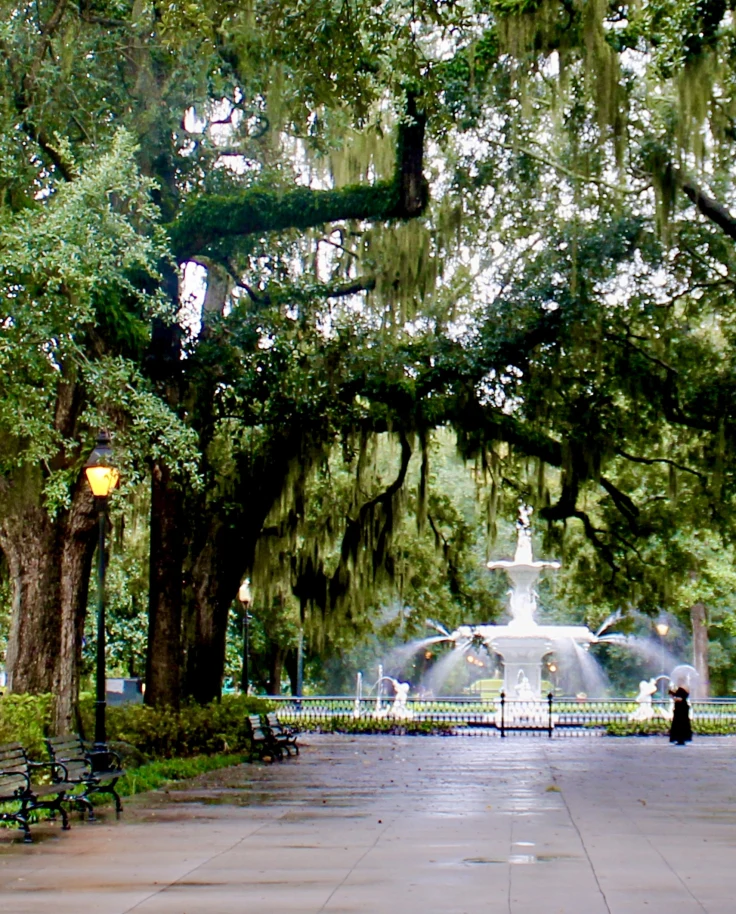 pretty fountain with trees