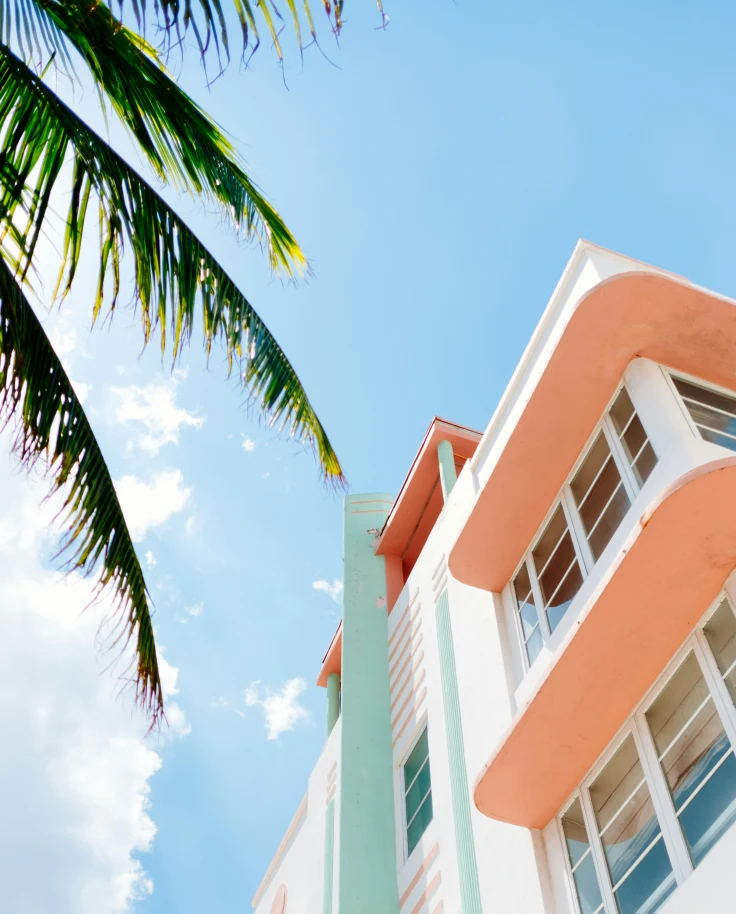 The image shows a swing hanging from a bent palm tree on a tranquil beach with clear skies.