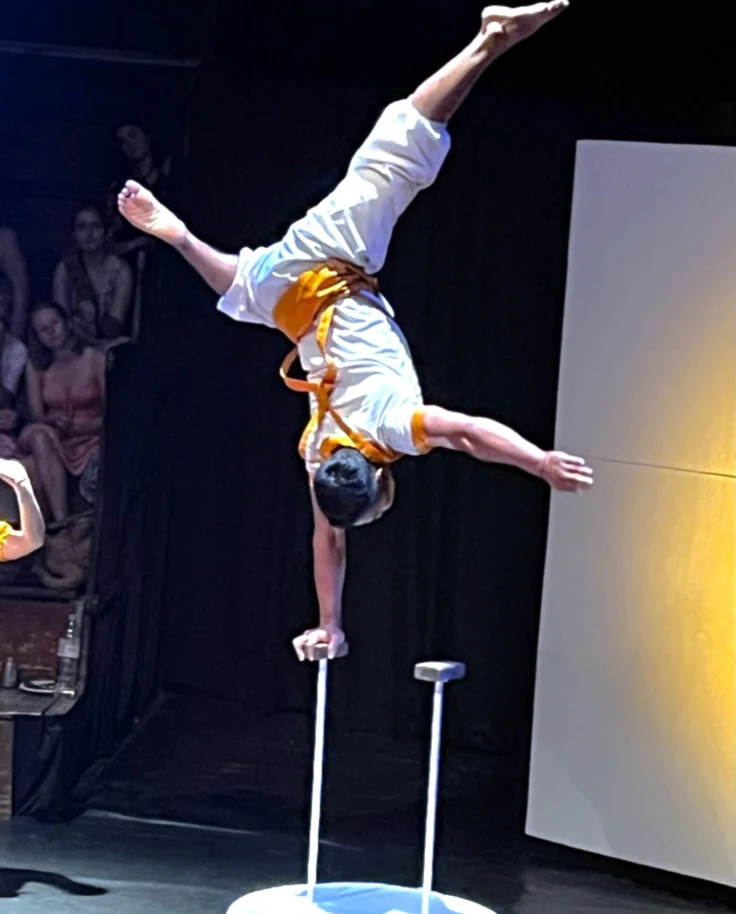 A daring performer executing a one-handed handstand atop a pole, illuminated against a dim backdrop.