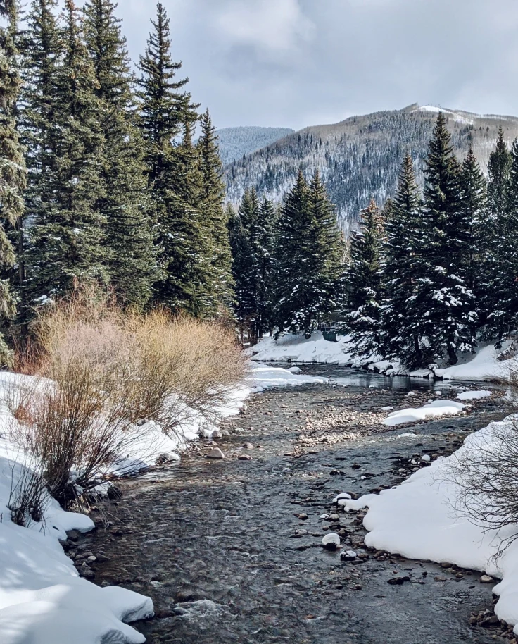 river surrounded by snow and trees with mountains in the background