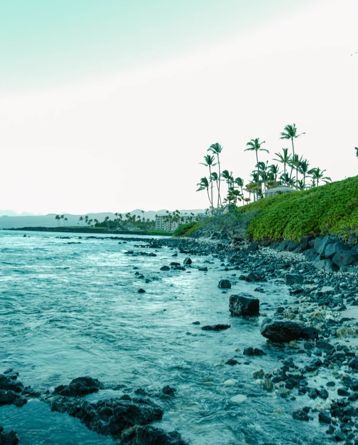 A picturesque coastal landscape with palm trees and resort buildings, evoking a sense of tropical tranquility.