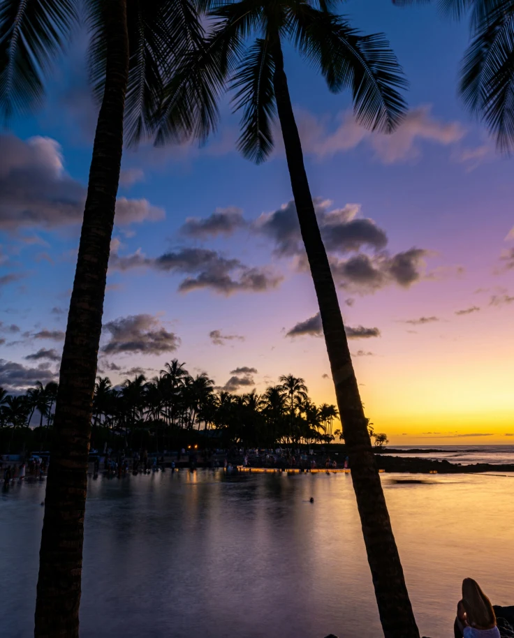 A picture of a silhouette of palm trees during sunrise, near where to stay on the Big Island.