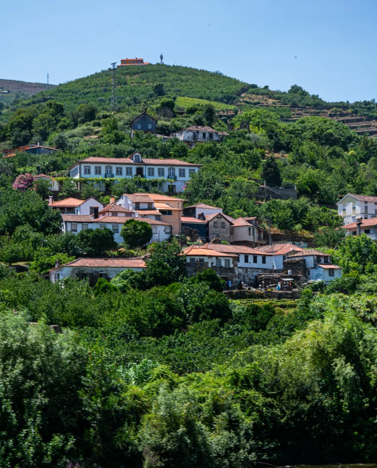 Views of the Douro Valley from the river in the Vila Real Region.