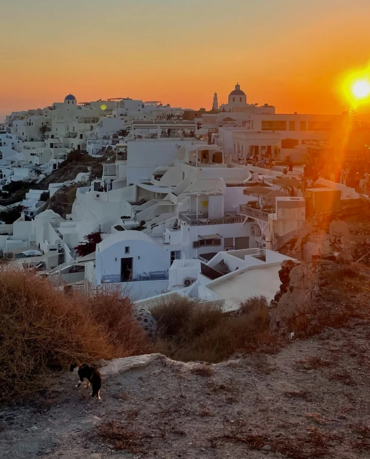A serene sunset bathes a charming white-washed village in a golden glow.