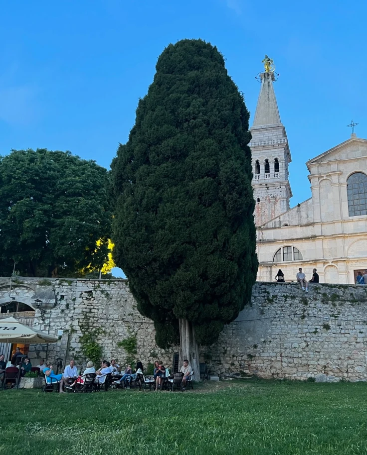 A church with a big tree in front.