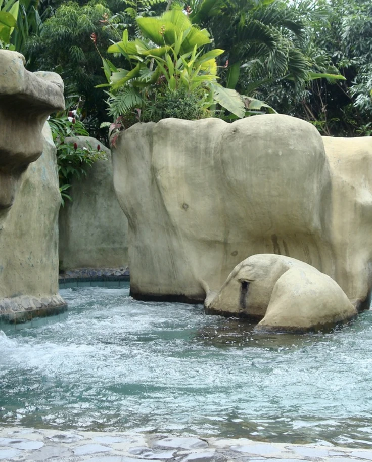 Rainforest Adventure