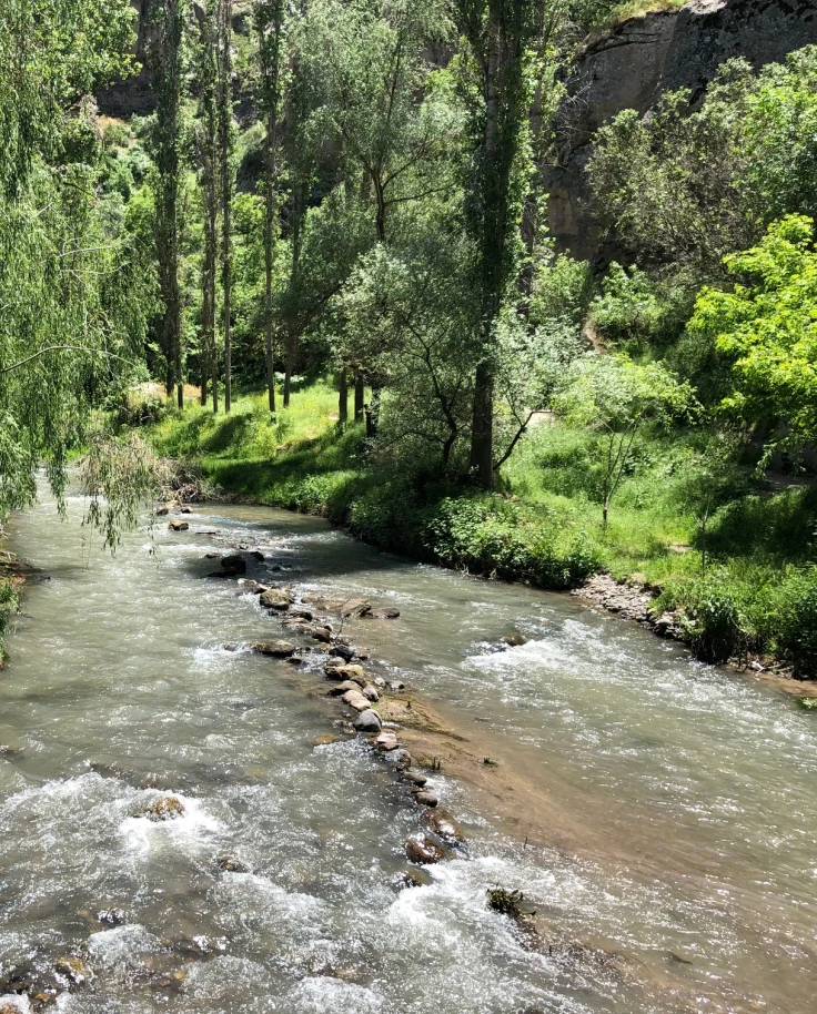 A view of a creek with stones, grass and trees in the surrounding areas.