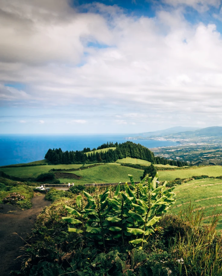 green rolling hills in Azores Portugal with tall trees and grassy bushes and blue ocean water with a blue cloudy sky