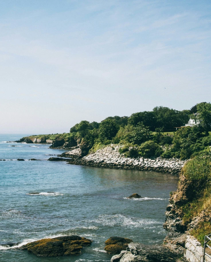 Trees on the sea's coast.