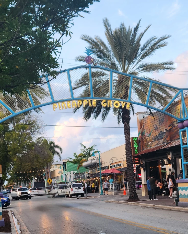 palm trees and shops on the roadside