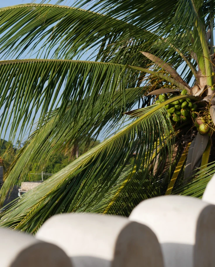 Lamu is a captivating Kenyan island known for its pristine beaches, historic architecture, and tranquil ambiance.