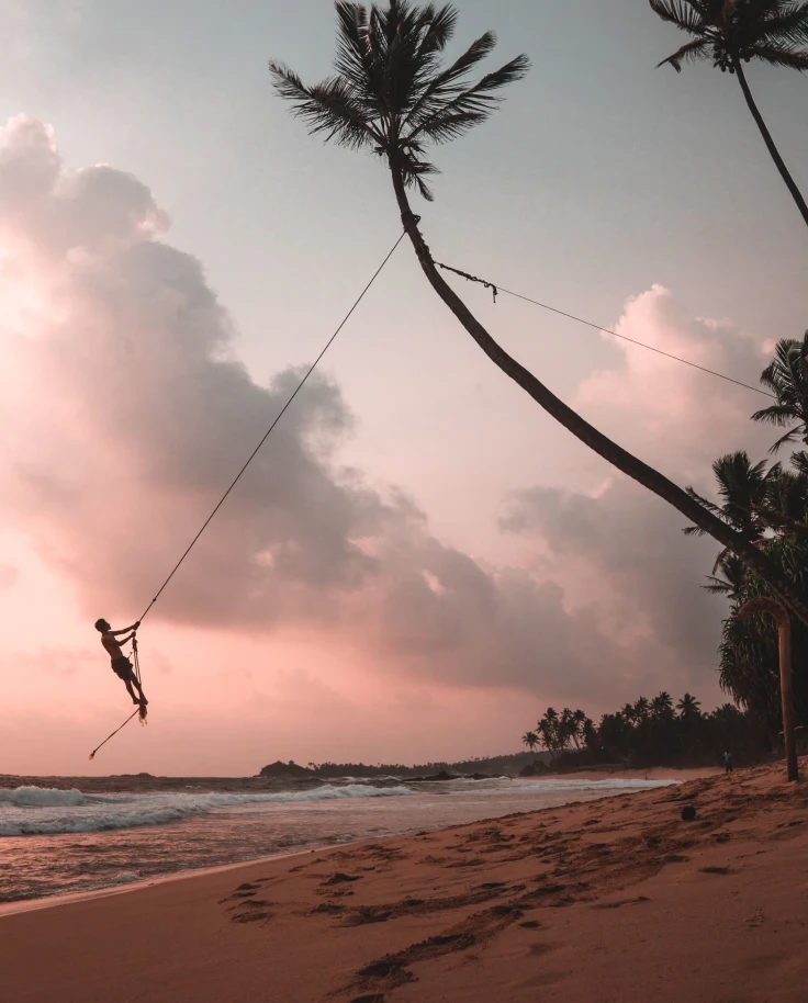 A boy swinging by the palm trees near the beach.