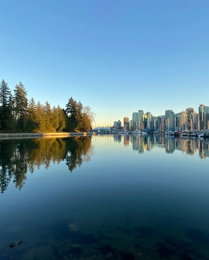 A body of water in between trees and buildings.