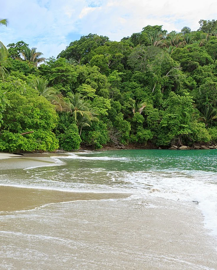 Manuel Antonio National Park with a beach and trees view