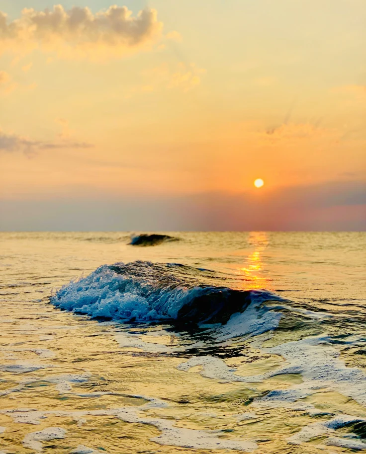 A Coastal Gem: Hilton Head Island, SC curated by Sara Guillotte