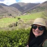 Fora Advisor - Lisa Mcclain