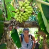 Fora Advisor - Kaitlin Davis