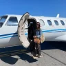 Fora Advisor - Ariann Bernstein