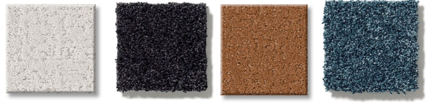 Shaw Carpets