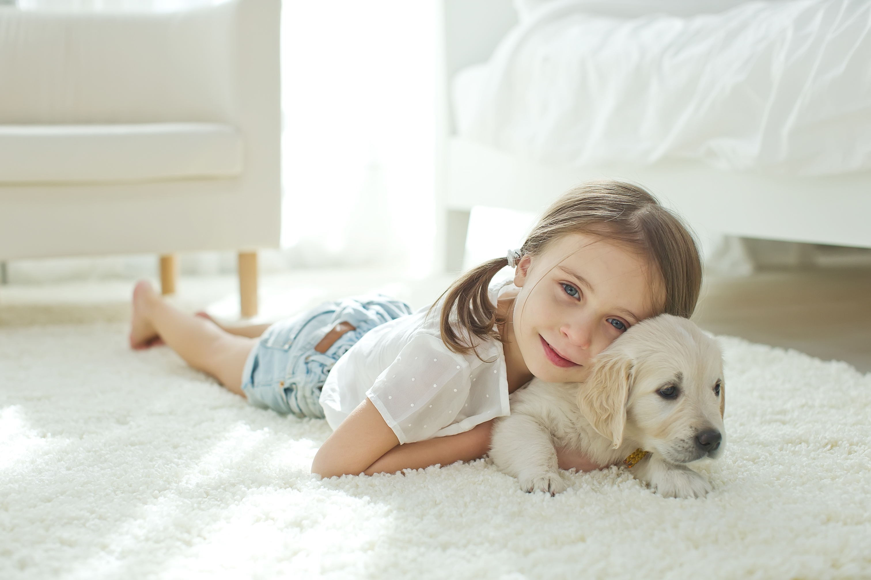 what is the most pet friendly carpet flooring Spring, TX