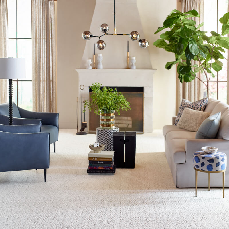 carpet and window treatments in living room