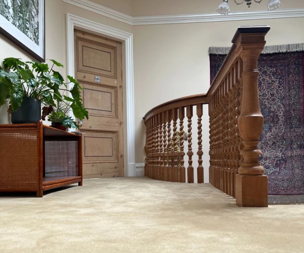 Carpet flooring in Stafford, VA from First American Carpet & Floors