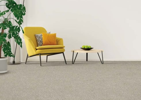 Carpet in Delray Beach, FL available in Boynton Beach, FL from Capitol Carpet & Tile and Window Fashions