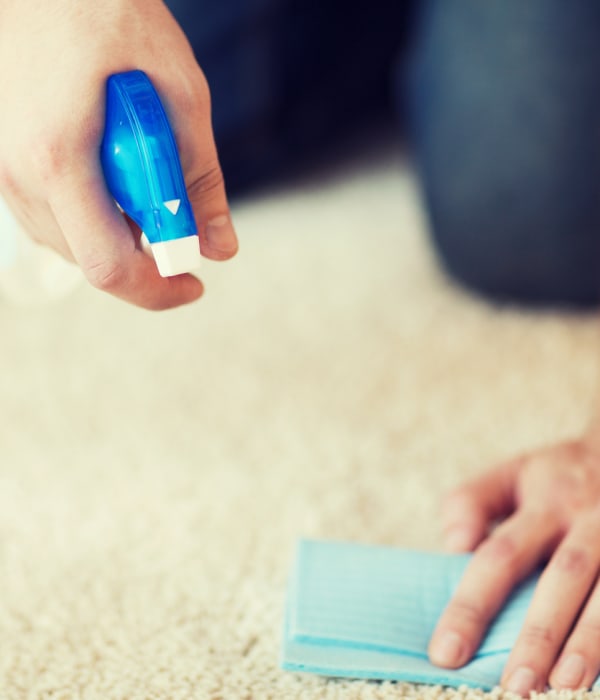 Carpet cleaning in Seattle, WA from Vogel's Carpet & Flooring