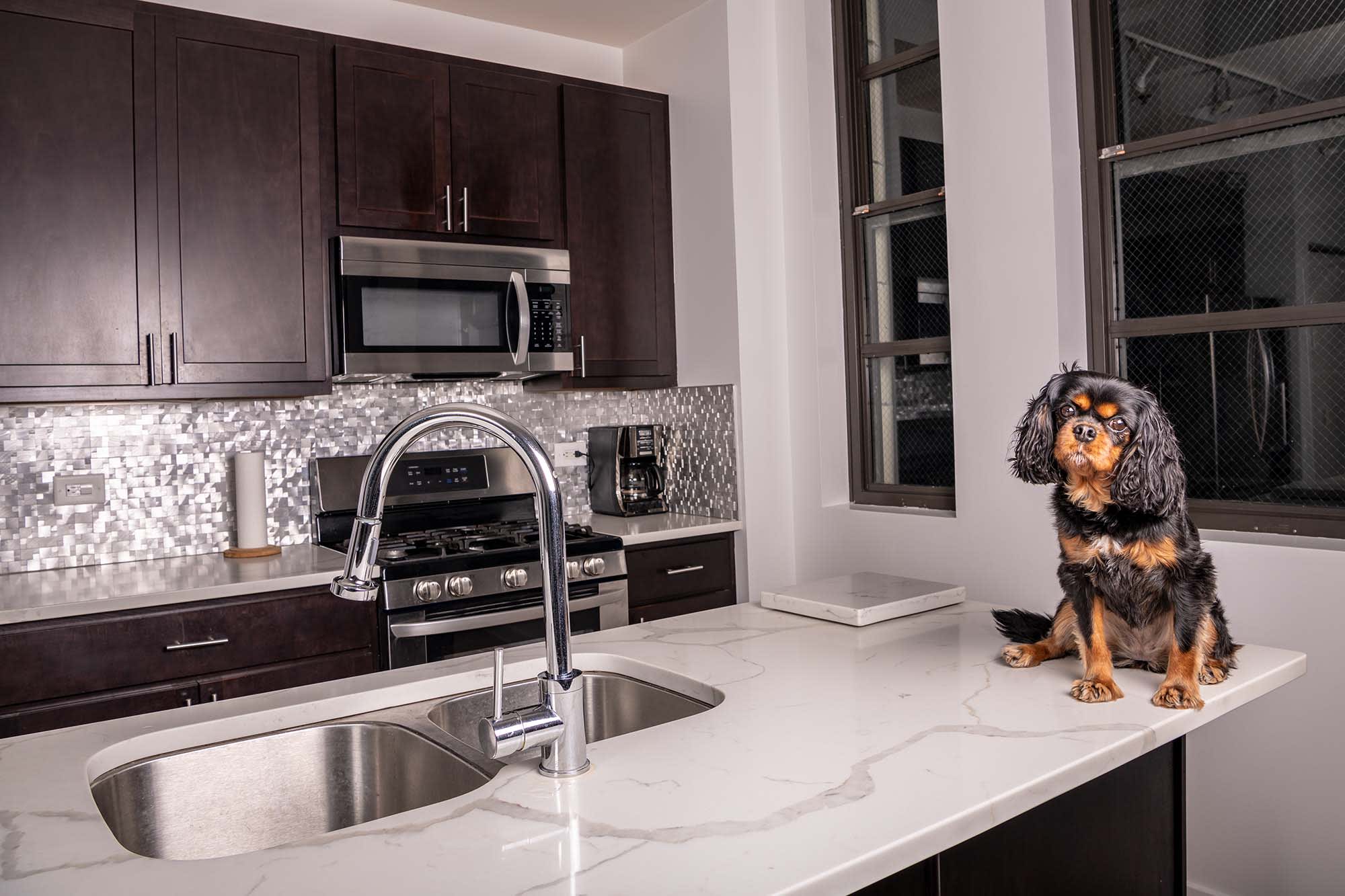 Countertops in Skagit County, WA from The Curated Home