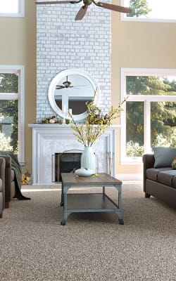 Shop for carpet in Rainsville, AL from Monarch Carpet Service