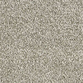Shop for Carpet in Camden, DE from Contractors Flooring Of De Inc.