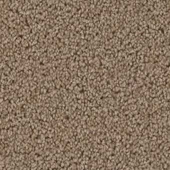 Carpet in Langhorne, PA