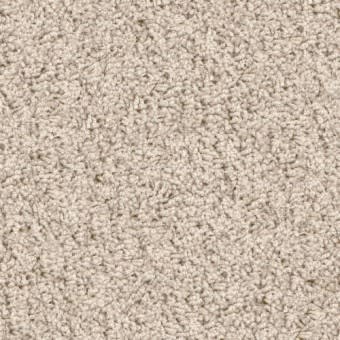 Carpet in Sarasota, FL