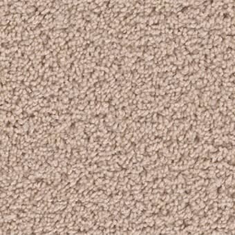 Carpet in Dalton, GA