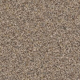 Shop for Carpet in Oshkosh, WI from Quest Interiors