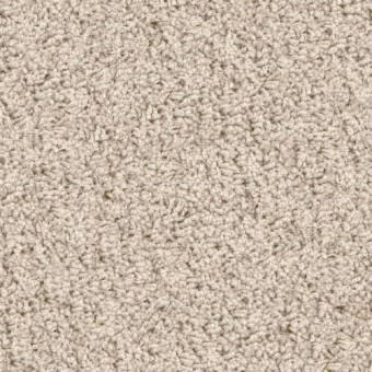 Shop for Carpet in Ocala, FL from Fred Nickel Tile